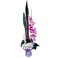 Орхидея для любимой